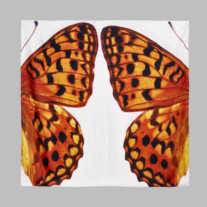 300constanceboutet-echarpeB-380euros-creditphotos-davidbornscheuer5