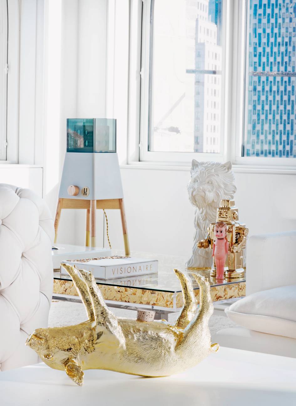 house-in-the-sky_hotson-vinas_architecture_nassau-st-nyc