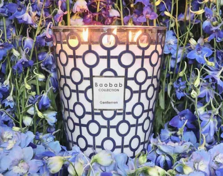 Bougie Gentlemen Baobab