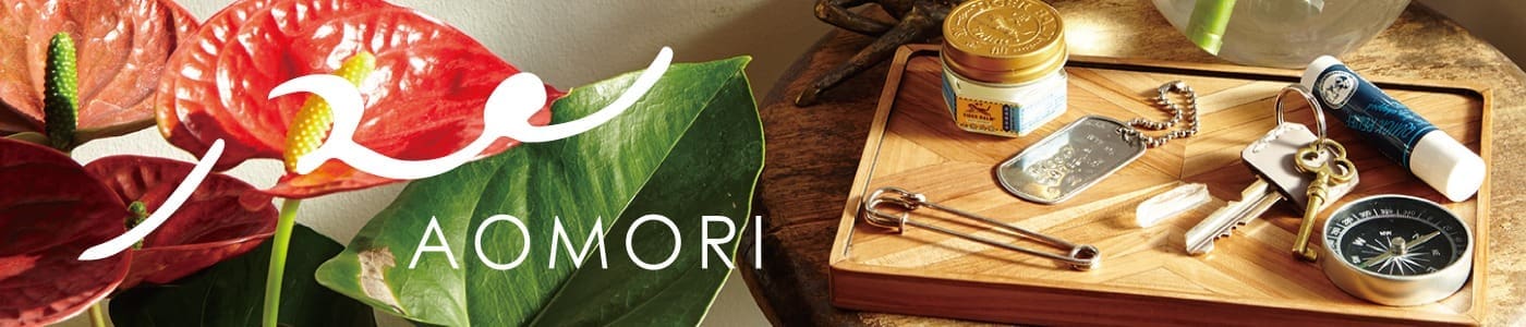 Bannière ENIS N°2 - format ordinateur